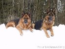 012.jpg | Chovatelská stanice Daxis