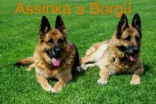 130415568995554300.jpg | Chovatelská stanice Daxis