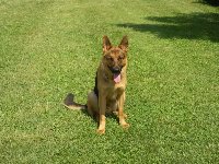 130859013691265500.jpg | Chovatelská stanice Daxis