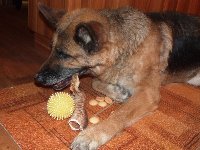 133175222486939800.jpg | Chovatelská stanice Daxis