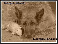 136371982893889600.jpg | Chovatelská stanice Daxis