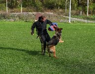 141391645607871200.jpg | Chovatelská stanice Daxis