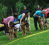 146601533620008700.jpg | Chovatelská stanice Daxis