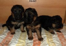 147629914836176800.jpg | Chovatelská stanice Daxis