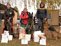 147976047428055700.jpg | Chovatelská stanice Daxis