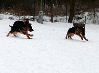 148597993470503500.jpg | Chovatelská stanice Daxis