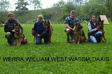 149426843028724700.jpg | Chovatelská stanice Daxis