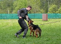 149426845180566200.jpg | Chovatelská stanice Daxis