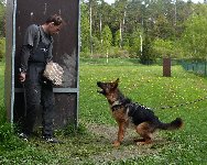 149426845578866600.jpg | Chovatelská stanice Daxis