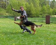149426845883410100.jpg | Chovatelská stanice Daxis