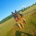 150074898502423200.jpg | Chovatelská stanice Daxis