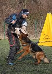 151820367008199600.jpg | Chovatelská stanice Daxis