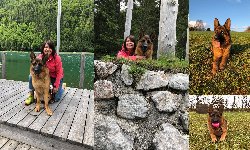 153254510895034100.jpg | Chovatelská stanice Daxis