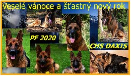 157678600180572900.png | Chovatelská stanice Daxis
