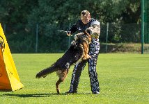 160347934899096500.jpg | Chovatelská stanice Daxis