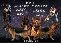 160806581783314000.jpg | Chovatelská stanice Daxis