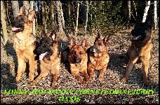 164651021669924600.jpg | Chovatelská stanice Daxis