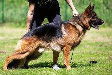 167009921153710000.jpg | Chovatelská stanice Daxis