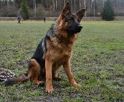 167830760892738400.jpg | Chovatelská stanice Daxis
