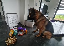 168054873637371100.jpg | Chovatelská stanice Daxis