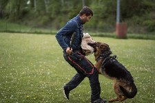 168417952657855800.jpg | Chovatelská stanice Daxis