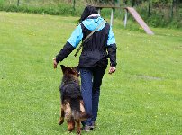 168417957082812500.jpg | Chovatelská stanice Daxis