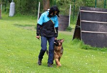 168417957184754800.jpg | Chovatelská stanice Daxis