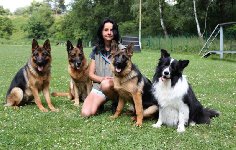 168935998872039600.jpg | Chovatelská stanice Daxis