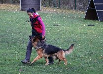 169930099223841000.jpg | Chovatelská stanice Daxis