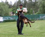 172832947183242800.jpg | Chovatelská stanice Daxis