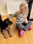 173818192909427700.jpg | Chovatelská stanice Daxis