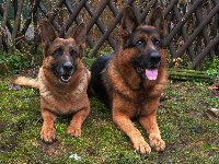 174120560673209300.jpg | Chovatelská stanice Daxis