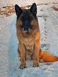 174146541109601600.jpg | Chovatelská stanice Daxis