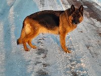 174146541210910000.jpg | Chovatelská stanice Daxis