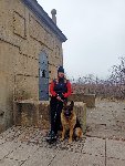 174198509605966500.jpg | Chovatelská stanice Daxis