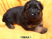 174794117583187300.jpg | Chovatelská stanice Daxis