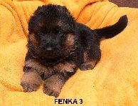 174794118085446300.jpg | Chovatelská stanice Daxis