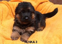 174794118298648200.jpg | Chovatelská stanice Daxis