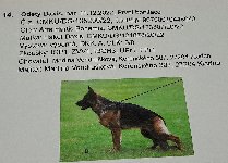174828719278732400.jpg | Chovatelská stanice Daxis