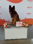 175165765992114100.jpg | Chovatelská stanice Daxis
