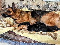 175226166002948700.jpg | Chovatelská stanice Daxis