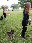175494149061154300.jpg | Chovatelská stanice Daxis