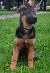 176020964012226000.jpg | Chovatelská stanice Daxis