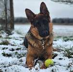 176522765766450900.jpg | Chovatelská stanice Daxis