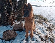 176522766678627800.jpg | Chovatelská stanice Daxis