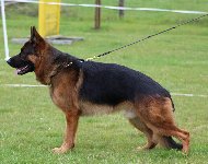 176695233414418300.jpg | Chovatelská stanice Daxis