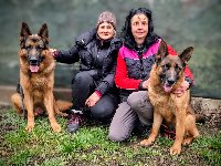 176695235785955100.jpg | Chovatelská stanice Daxis