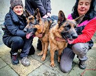 176695244226646900.jpg | Chovatelská stanice Daxis