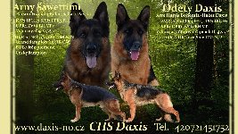 176954729149881400.jpg | Chovatelská stanice Daxis