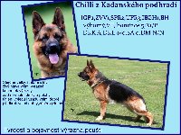 177118837948512600.jpg | Chovatelská stanice Daxis